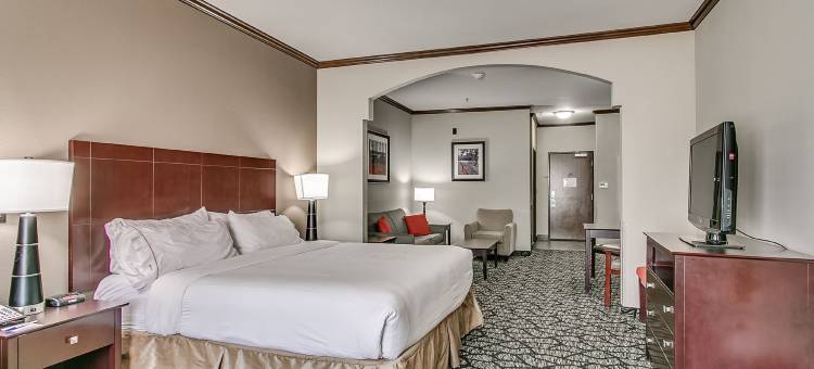 智选假日套房酒店拉伯克南(Holiday Inn Express & Suites Lubbock South)图片