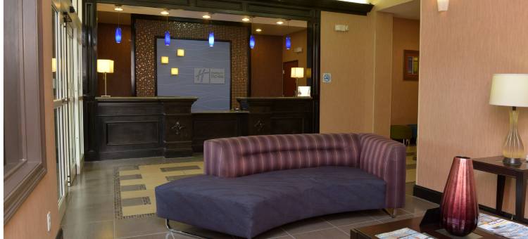 智选假日套房酒店巴吞鲁日北 by IHG(Holiday Inn Express & Suites Baton Rouge North by IHG)图片