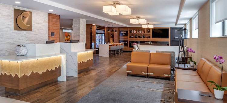 舒适酒店-JFK机场(Comfort Inn JFK Airport)图片