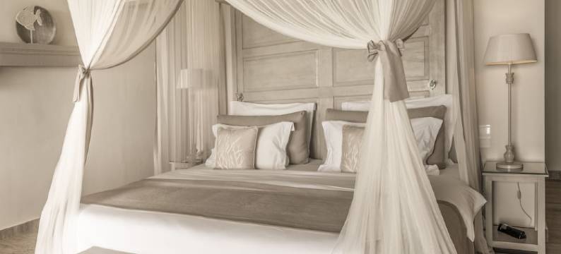 桑给巴尔扎瓦迪酒店(Zawadi Hotel, Zanzibar)图片