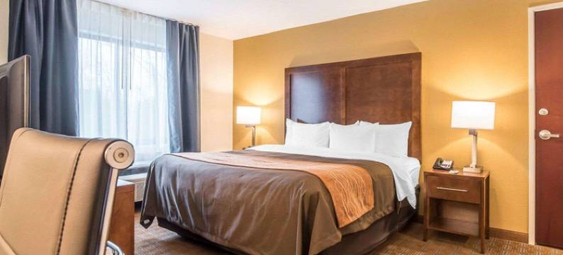 布拉特尔伯勒 I-91 舒适套房酒店(Comfort Inn & Suites Brattleboro I-91)图片