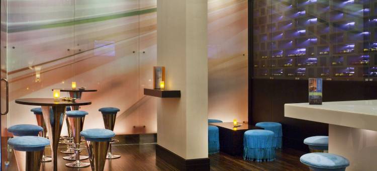 迪拜购物中心大道诺富特套房酒店(Novotel Suites Mall Avenue Dubai)图片