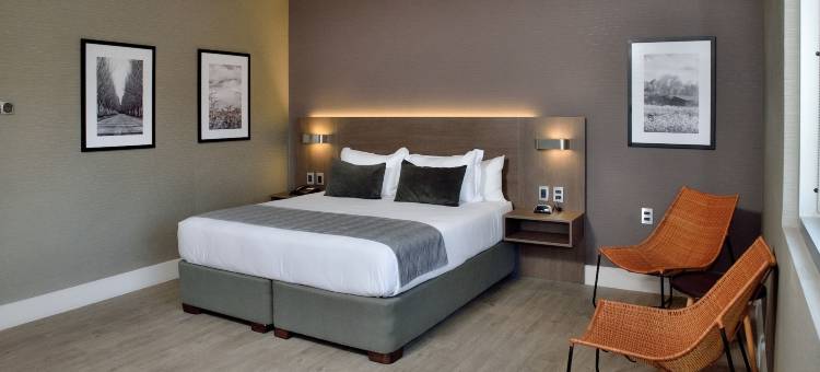 库里科丽笙酒店(Radisson Hotel Curico)图片