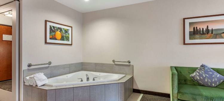 帕斯科贝斯特韦斯特精品套房酒店(Best Western Premier Pasco Inn  Suites)图片