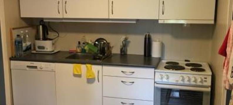 阿士葛尔旦杰士特伽德农家乐(Åsgardane Gjestegard)图片