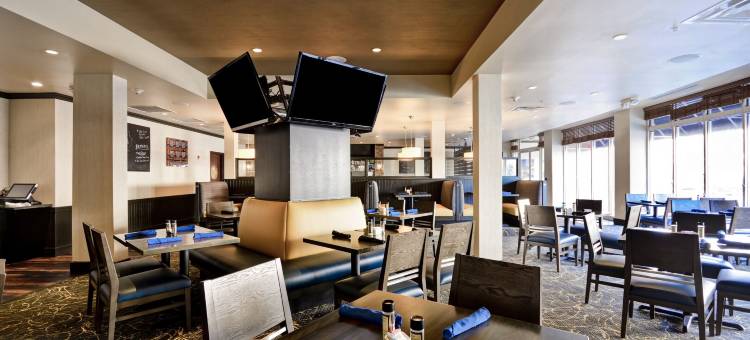 Holiday Inn 底特律METRO机场(Holiday Inn Detroit Metro Airport)图片