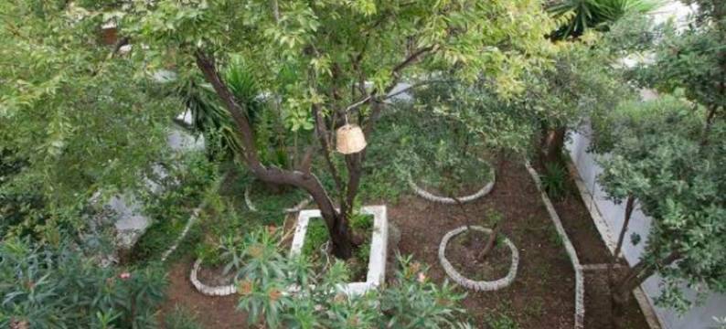 萝拉旅馆(Laura Skiathos)图片