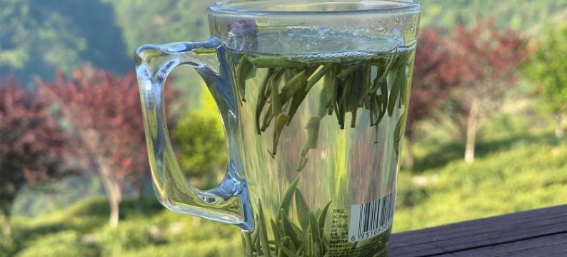 半亩茶园民宿(紫燎路分店)图片