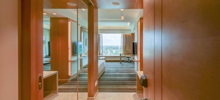 戈勒克布林丽笙酒店(Radisson Blu Gorakhpur)图片