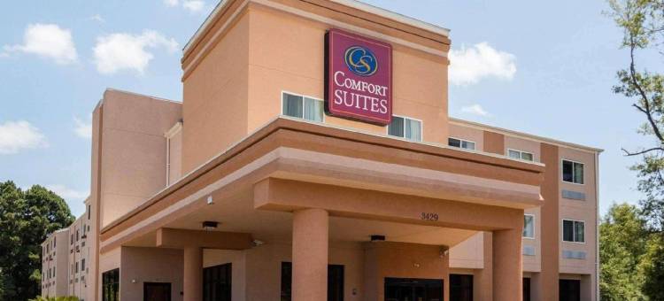 纳可杜契斯舒适全套房酒店(Comfort Suites Nacogdoches)图片