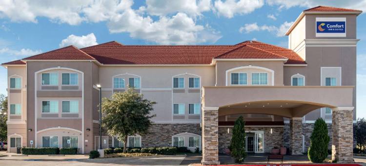 雪松山邓肯维尔舒适套房酒店(Comfort Inn & Suites Cedar Hill Duncanville)图片