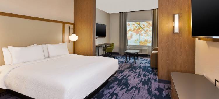 格兰德拉皮兹北万豪万枫套房酒店(Fairfield Inn & Suites Grand Rapids North)图片