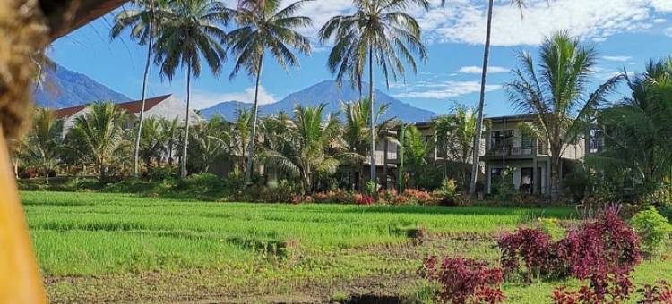 伊真-大丰收度假村和别墅(Grand Harvest Resort & Villas - Ijen)图片