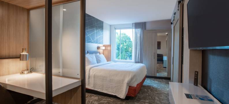 切斯特SpringHill Suites酒店(SpringHill Suites Chester)图片