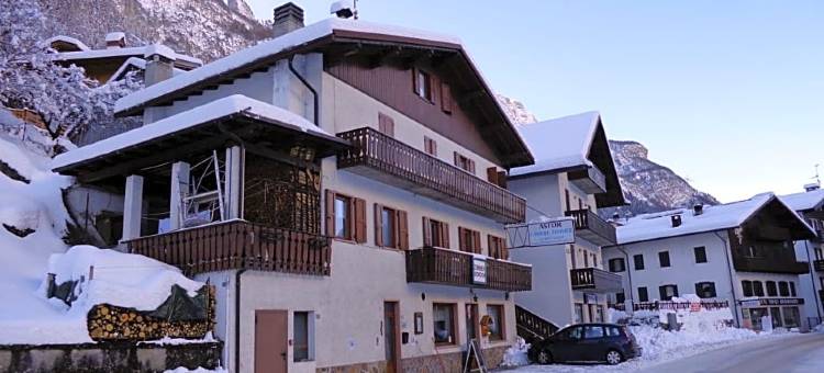 阿斯特酒店(B&B Astor)图片