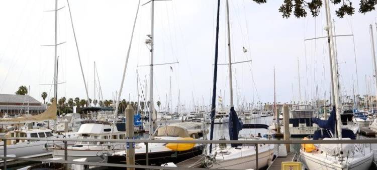 托伦斯瑞达克盖特威酒店(Redac Gateway Hotel Torrance)图片