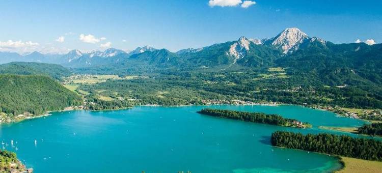 七号酒店(Hotel Seven)图片