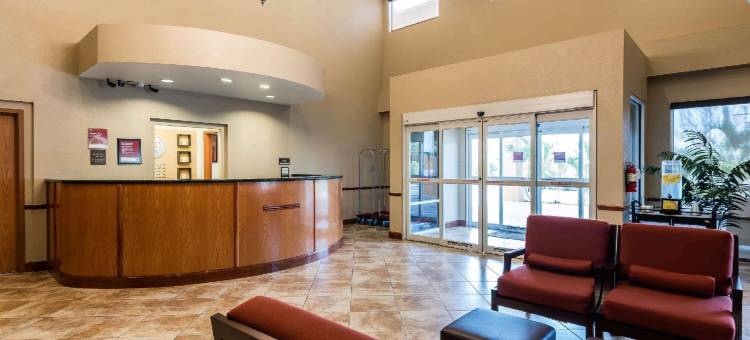 舒适套房酒店-坦帕机场北(Comfort Suites Tampa Airport North)图片