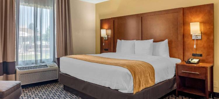 舒适套房酒店(Comfort Inn & Suites Athens North)图片