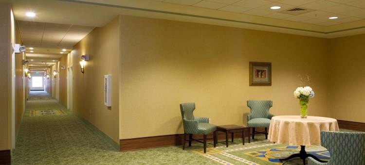 萨凡纳/市中心欢朋酒店兼套房(Hampton Inn & Suites Savannah/Midtown)图片