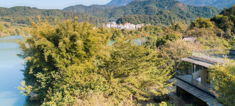 广州从舍流溪原墅图片