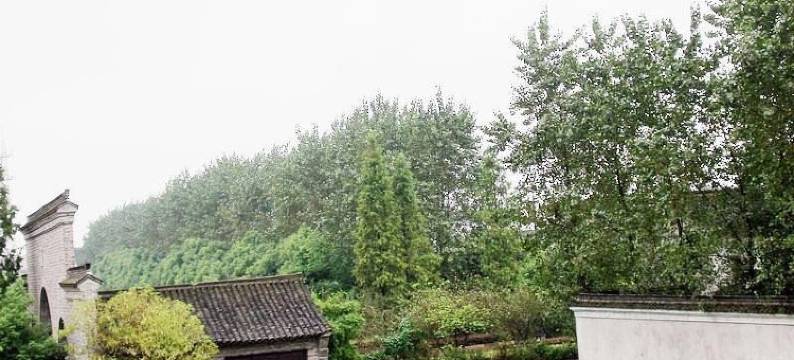 那些年·心灵乌托邦设计师临河美宿(乌镇大剧院西栅景区店)图片