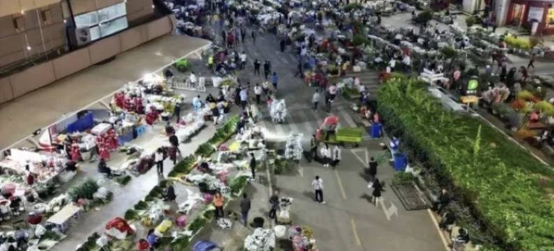 昆明花海民宿图片