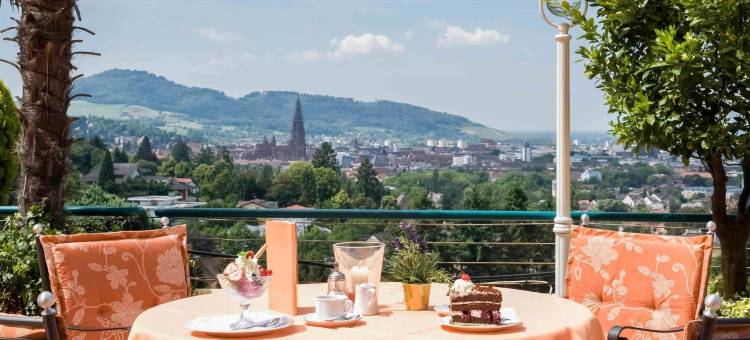 弗赖堡全景美居酒店(Mercure Hotel Panorama Freiburg)图片
