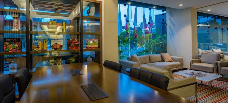 爱尔欧里瓦索尼斯塔酒店(Sonesta Hotel El Olivar Lima)图片