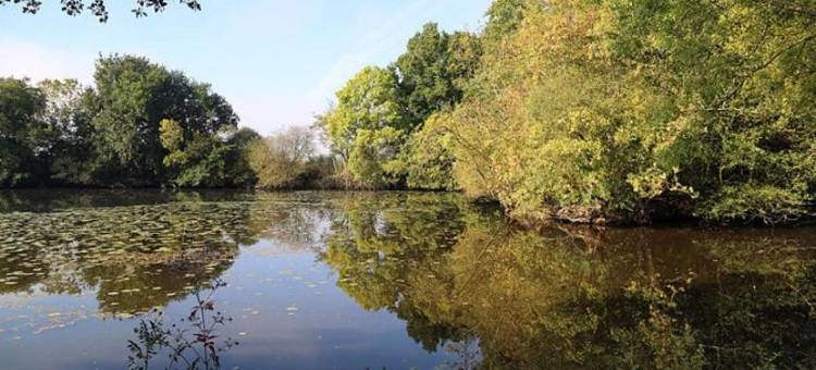 伊皮奈城堡酒店(Château de l'Epinay)图片