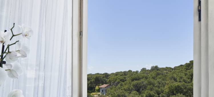 摩尔吉酒店(The Margi)图片