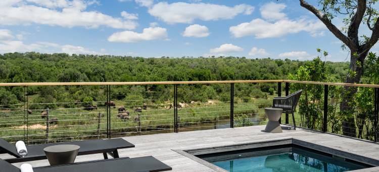 Leopard Sands, Kruger Park图片