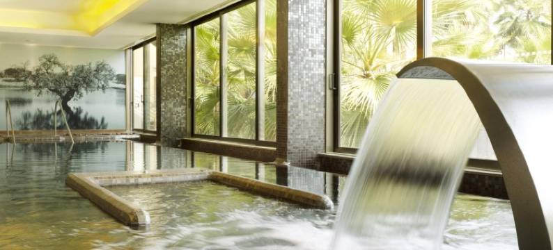 AP蒙塔尔吉尔会议与温泉酒店(AP Lago Montargil - Conference & Spa)图片