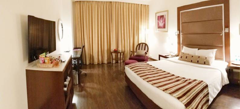 浦那皇家兰花中心酒店(Royal Orchid Central, Pune)图片