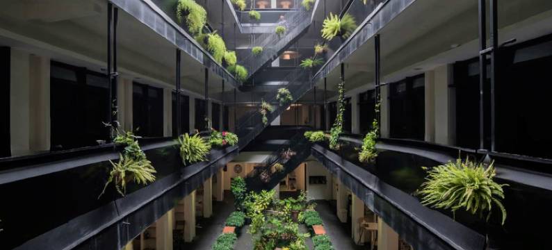 路得行旅国际青年旅馆台东馆图片