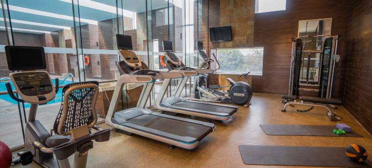 希尔顿花园酒店-圣地亚哥机场(Hilton Garden Inn Santiago - Airport)图片