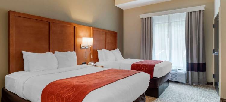 金斯波特南舒适套房酒店(Comfort Suites)图片