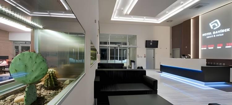 Davídek 酒店(Sport & Relax Hotel Davidek)图片