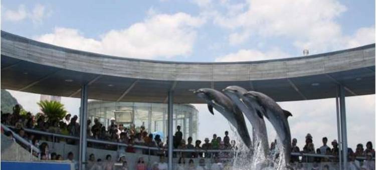 Green Rich酒店-大分都町(Green Rich Hotel Oita Miyakomachi)图片