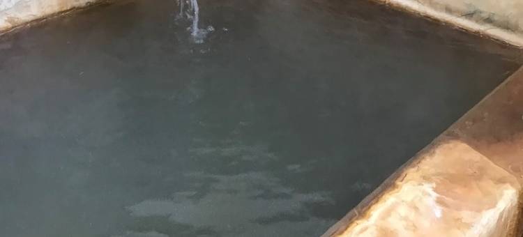 妙见温泉 乐园庄(Myouken Onsen Rakuensou)图片