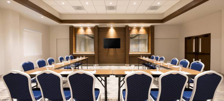 卡瓜斯皇家 福朋喜来登酒店(Four Points by Sheraton Caguas Real Hotel & Casino)图片