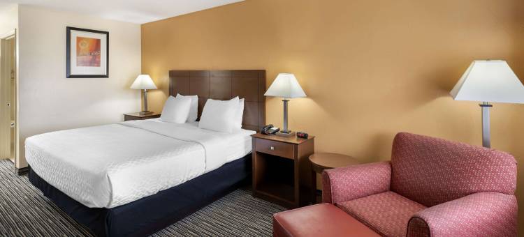 斯奈德贝斯特韦斯特酒店(Best Western Snyder Inn)图片