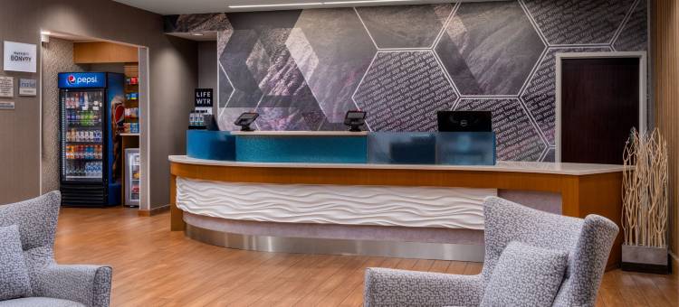 萨拉索塔布雷登顿万豪SpringHill酒店(SpringHill Suites Sarasota Bradenton)图片