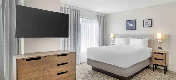圣安东尼奥市中心/阿拉莫广场索尼斯塔ES套房酒店(Sonesta ES Suites San Antonio Downtown Alamo Plaza)图片
