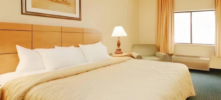 舒适酒店(Comfort Inn)图片