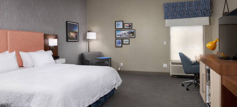 希尔顿欢朋酒店-尼亚加拉瀑布(Hampton Inn Niagara Falls)图片
