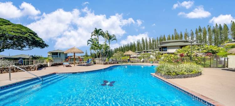Walk to Kapalua Bay Beach, New 3Br & 4BA Bespoke Golf Villa, Ocean & Golf Views图片