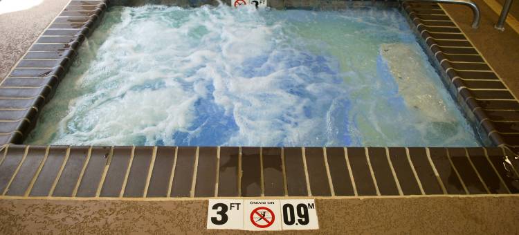 什里夫波特南欢朋套房酒店(Hampton Inn & Suites Shreveport/South)图片