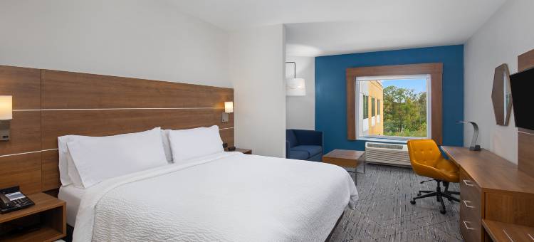 智选假日套房酒店-卡罗尔顿西(Holiday Inn Express & Suites Carrollton West)图片