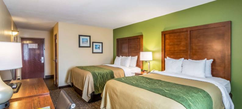 舒适酒店及套房-巴拿马城北部(Comfort Inn & Suites Panama City North)图片